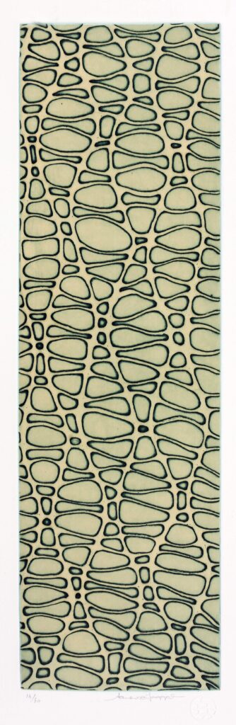 Aaron McTaggart - Crocodile Skin