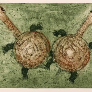 Jane Stevens - Long-neck Turtles