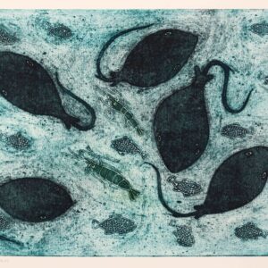 Ann Carmel Mulvien - Freshwater Stingrays