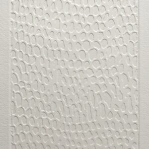 Aaron McTaggart - Skin