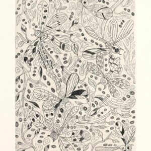 Kurrawul Wilson - Dragonflies