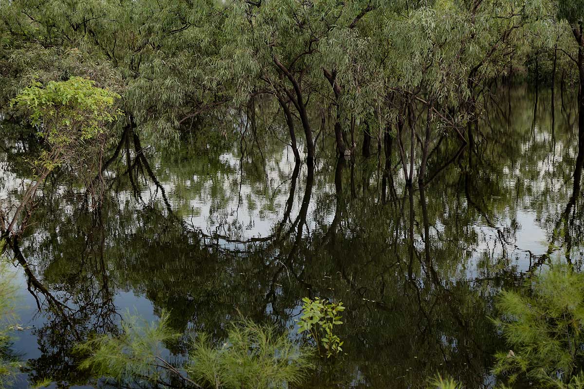 Billabong Reflections - Merrepen Arts