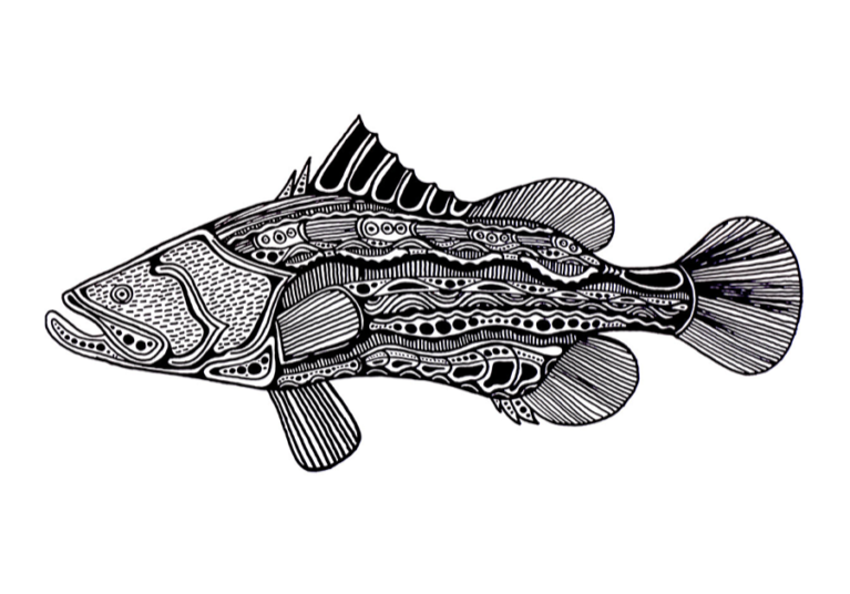 Merrepen Arts Aboriginal artist Phillip Wilson's black and white line drawing of a barramundi.